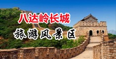 插小姨小穴视频下载中国北京-八达岭长城旅游风景区