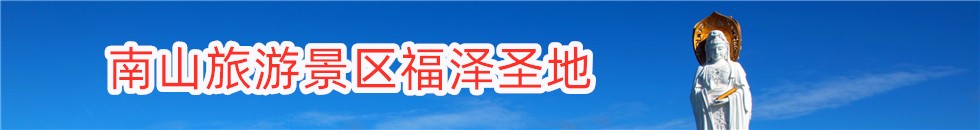 国内日逼视频网