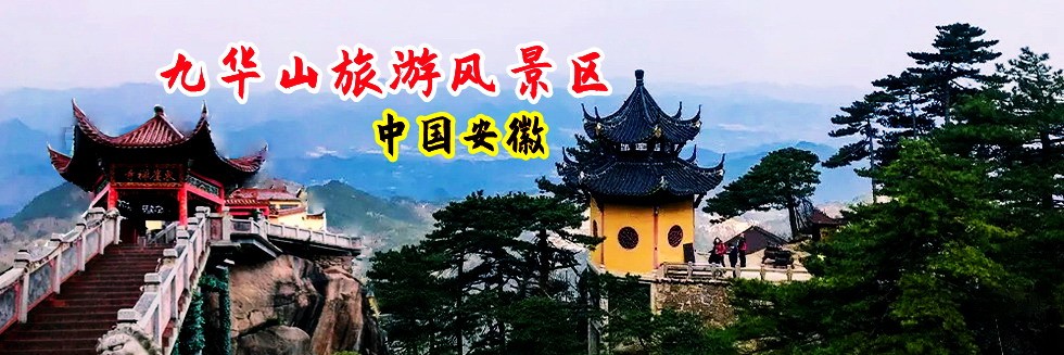 玩屄的视频